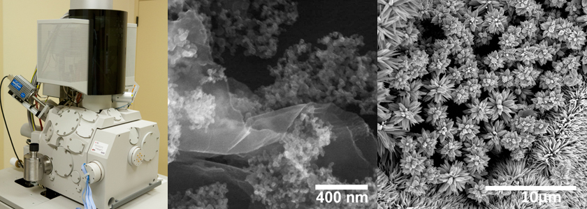 Prashant Kamat, Radiation Lab facilities scanning electron microscope